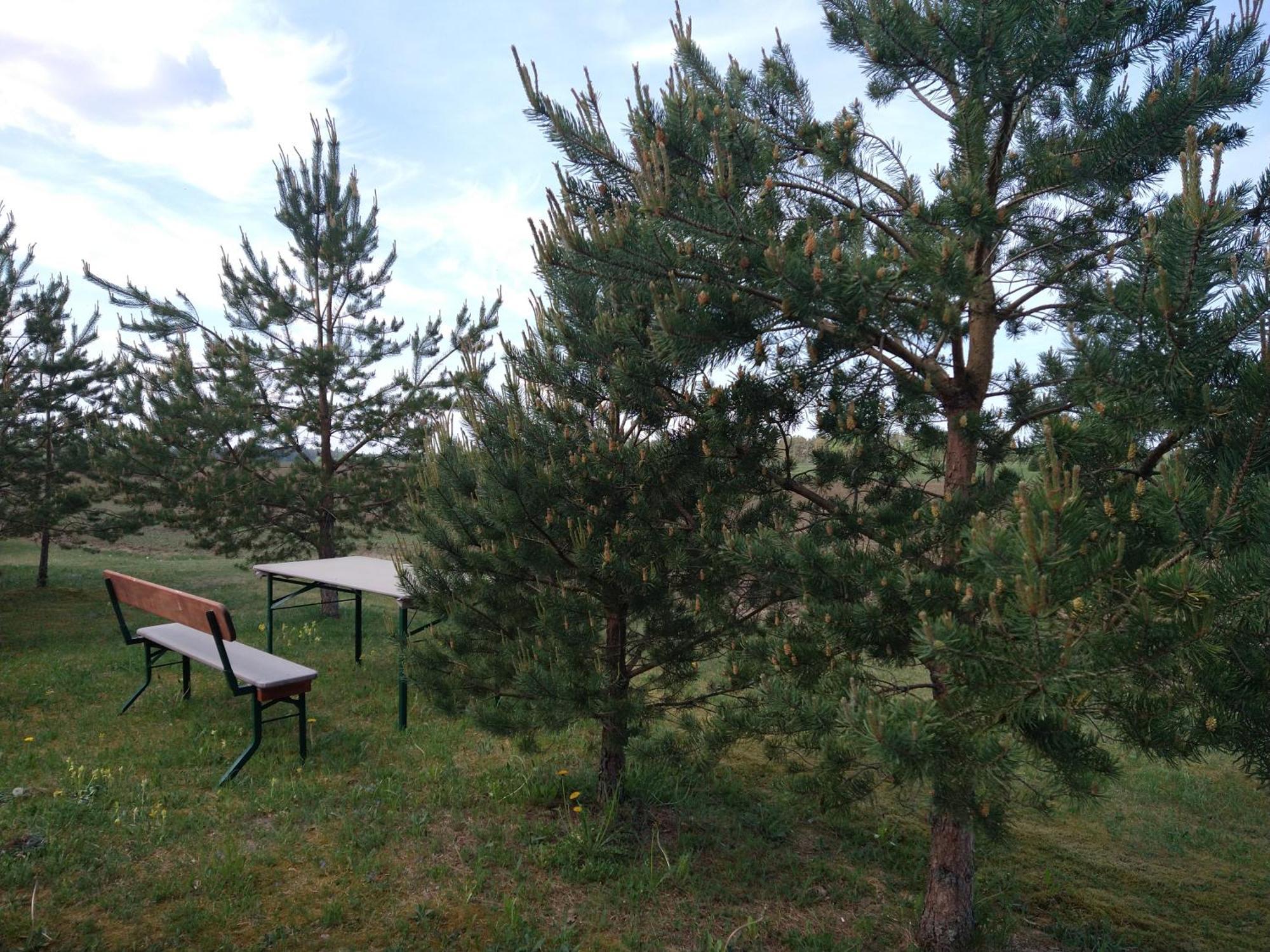 Lahemaa Kohvikann B & B, Caravan Park Palmse Kültér fotó